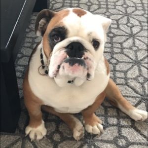 Meet your Posher, Paul